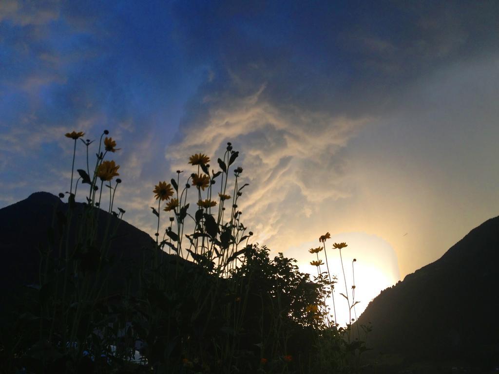 Lahnerhof Βίλα Κάμπο Τούρες Εξωτερικό φωτογραφία